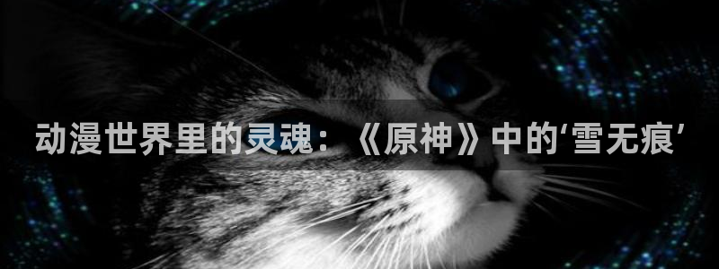 樱花动漫在线网站：动漫世界里的灵魂：《原神》中的‘雪无痕’