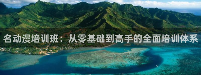 樱花动漫视频app：名动漫培训班：从零基础到高手的全面培训体系