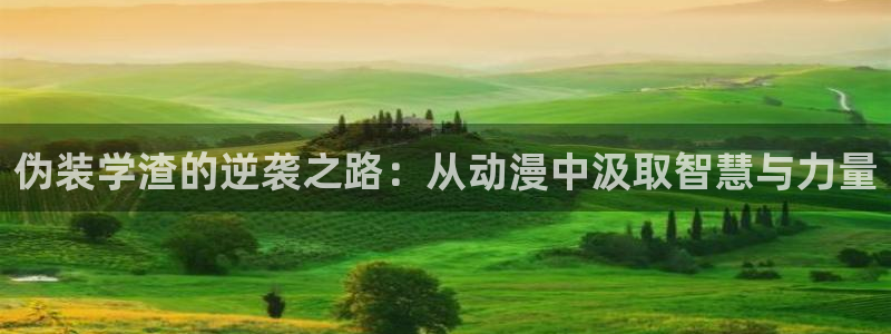 人形电脑天使心樱花动漫