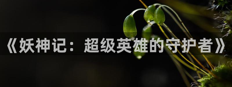 樱花动漫国家队
