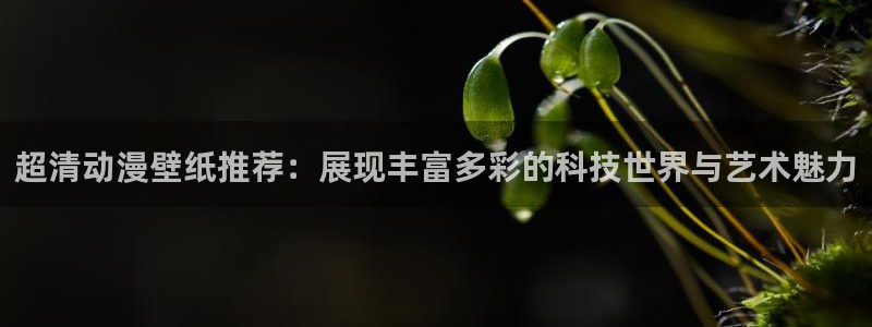 漫画樱花动漫