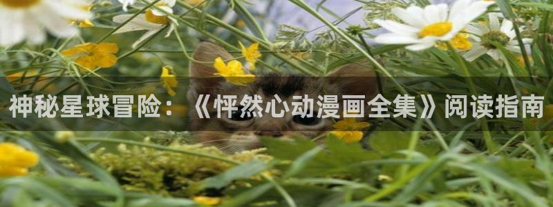 唐人街探案樱花动漫
