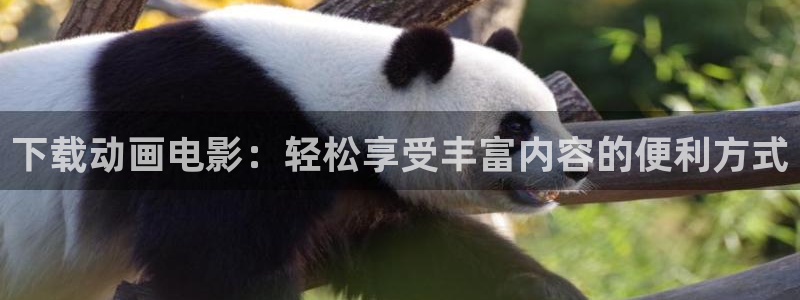 樱花动漫之月圆之夜