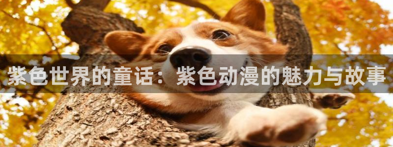 樱花动漫在线观看全集