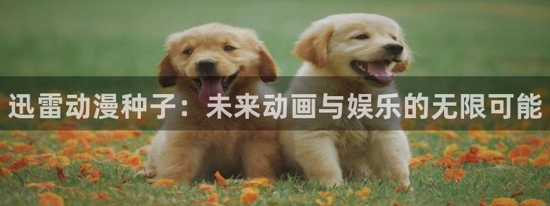 樱花动漫网页免费版登录入口