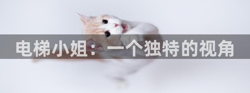 魔法学院的劣等生樱花动漫