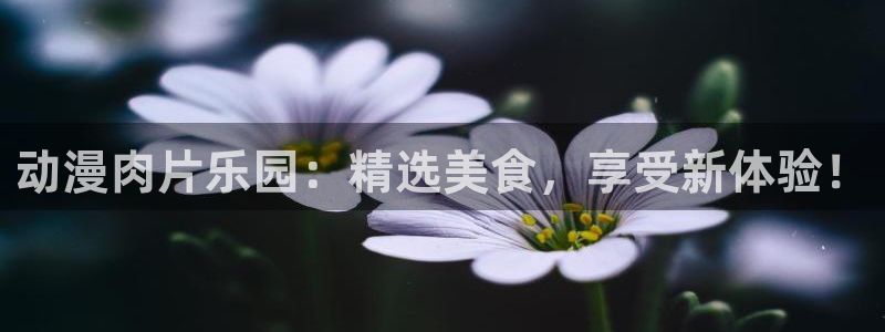 机巧魔神樱花动漫