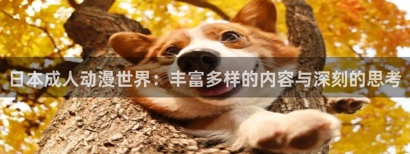 樱花动漫航海王