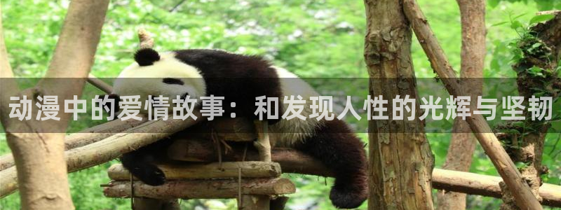 孤独摇滚第一季樱花动漫