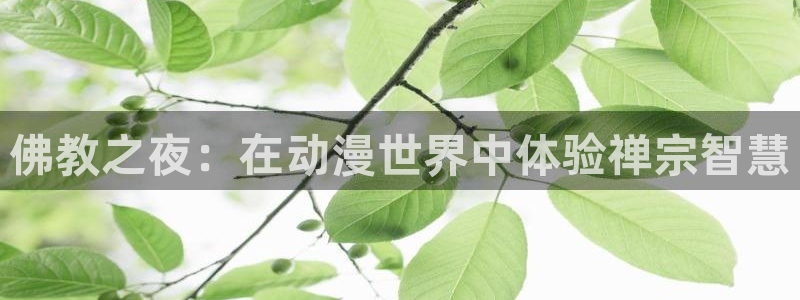 我是大哥大樱花动漫超清