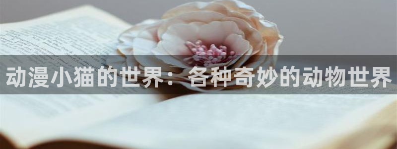 樱花动漫缘之空兄妹