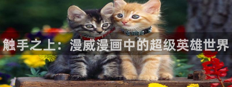 樱花动漫的专注门户网站是