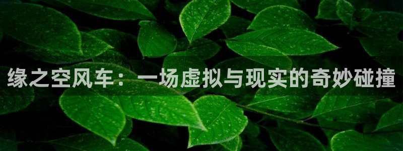 雾山五行在线观看樱花动漫