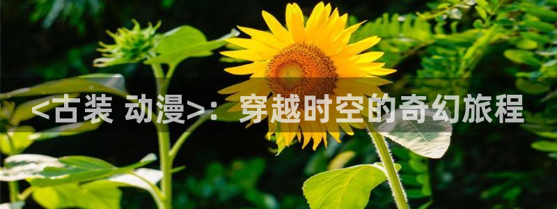 纯洁的轮舞曲2集樱花动漫