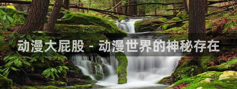 缘之空在线观看樱花动漫