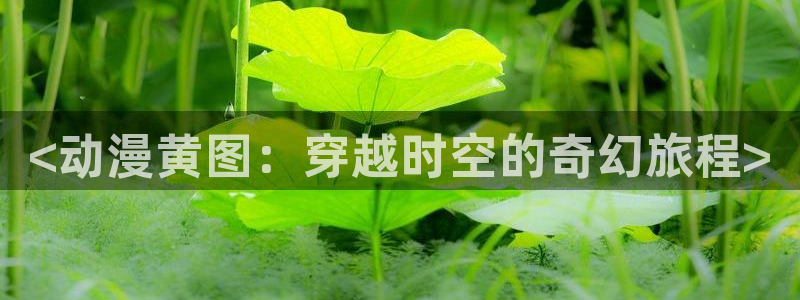 樱花动漫在线观看动画片