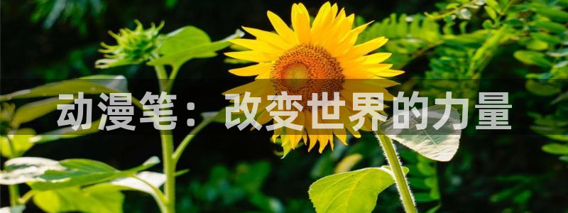 快把我哥带走樱花动漫免费