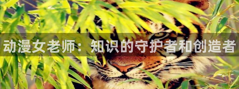 fate樱花动漫在线观看