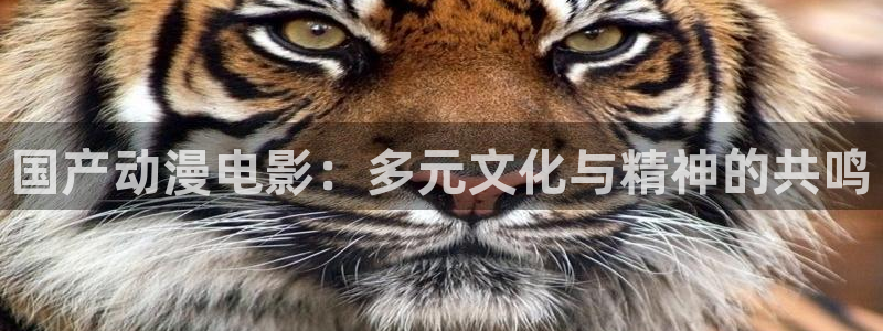 魔女之旅樱花动漫官网