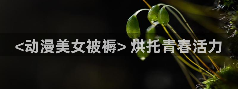 少女弹珠汽水樱花动漫完整版