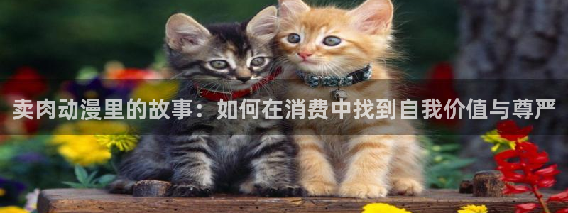 风俗校园祭樱花动漫