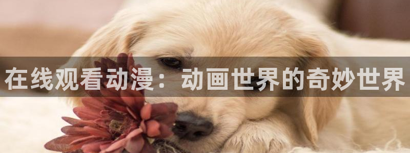 我的女神动漫在线观看樱花动漫：在线观看动漫：动画世界的奇妙世界