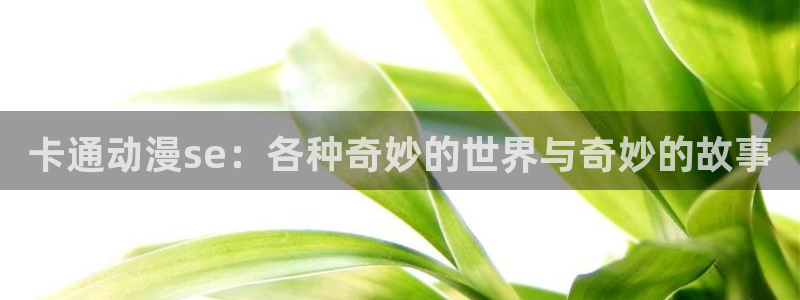 大小姐出嫁战争樱花动漫第四集