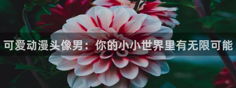 瓦尼塔斯的笔记樱花动漫在线观看